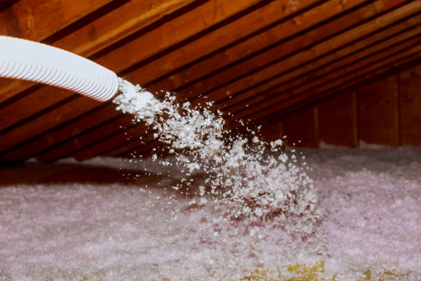 Best Spray Foam Insulation in Marlboro Village, MD