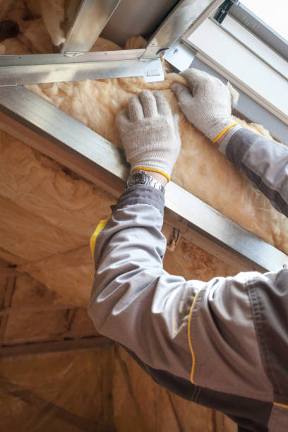 Best Residential Insulation in Marlboro Village, MD